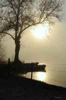 Brouillard matinal en bord de Loire