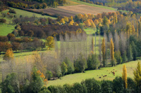 Paysage d'automne en Périgord