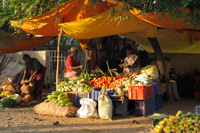 Etalage de fruits, Mahabalipuram