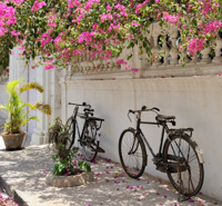 Vélos à Pondichéry