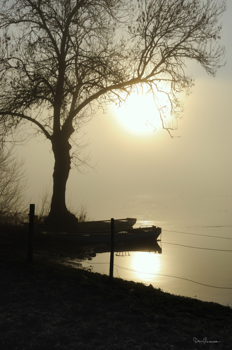 Brouillard en bord de Loire