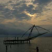 Filets de pêche chinois, à Cochy, Inde.