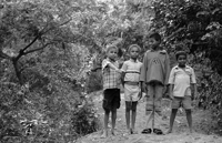 Enfants indiens promenade en forêt