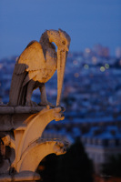 Chimère, tour nord de Notre-Dame de Paris